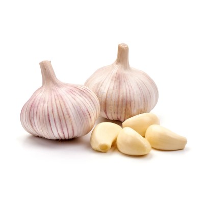 Чеснок крупный 1 кг - купить в Устье