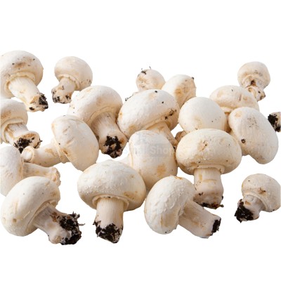 Шампиньоны свежие 500 г - купить в Устье